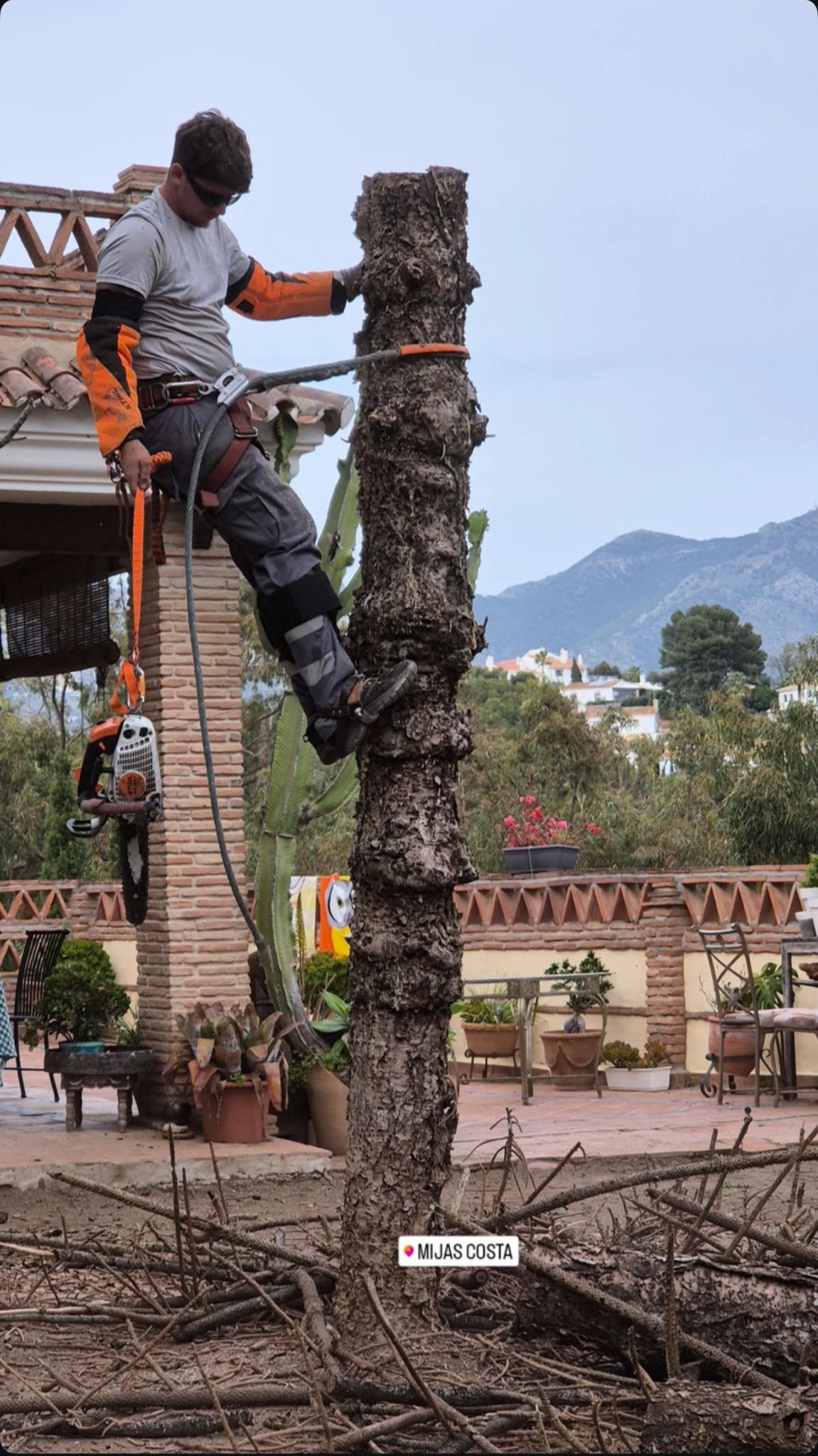 Poda de palmera en jardín